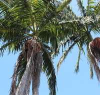 Tri Byron Bay - Foster Accommodation