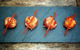 Alegrias Spanish Tapas - thumb 23