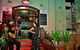 Alegrias Spanish Tapas - thumb 6