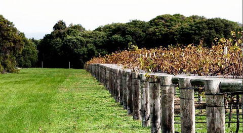 Arimia Restaurant And Winery - Foster Accommodation 5