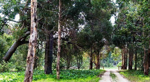 Arimia Restaurant And Winery - Foster Accommodation 7