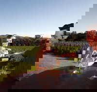 Gapsted Wines - Foster Accommodation