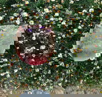 Bacco Re - Foster Accommodation