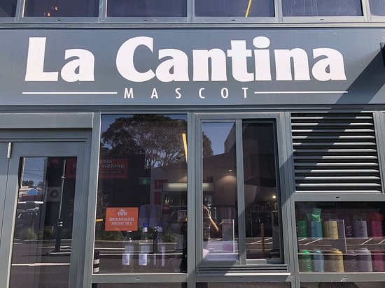 Mascot NSW Foster Accommodation