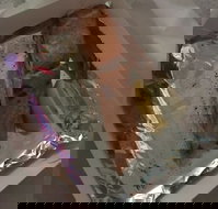 Myssy's Fresh  Cooked Seafood - Foster Accommodation