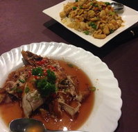 Royal Garden Wagga - Foster Accommodation