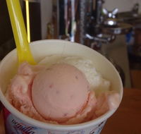 Bermagui Gelati Clinic - Foster Accommodation