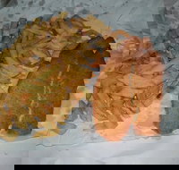 Chipp Inn - Foster Accommodation