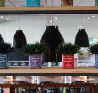 Collegians Balgownie - Foster Accommodation