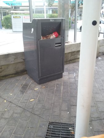 The Entrance NSW Foster Accommodation