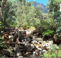 Star Chinese Restaurant - Foster Accommodation