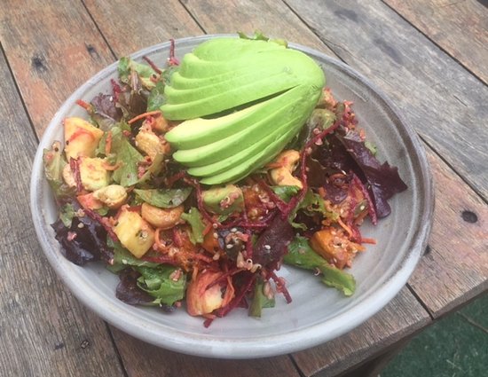 Bulga Forest NSW Foster Accommodation