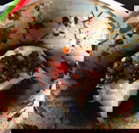 29 Nine 99 - Foster Accommodation