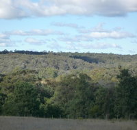 U Saucey Thing - Foster Accommodation