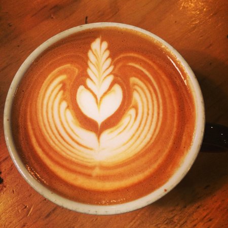 Port Macquarie NSW Foster Accommodation