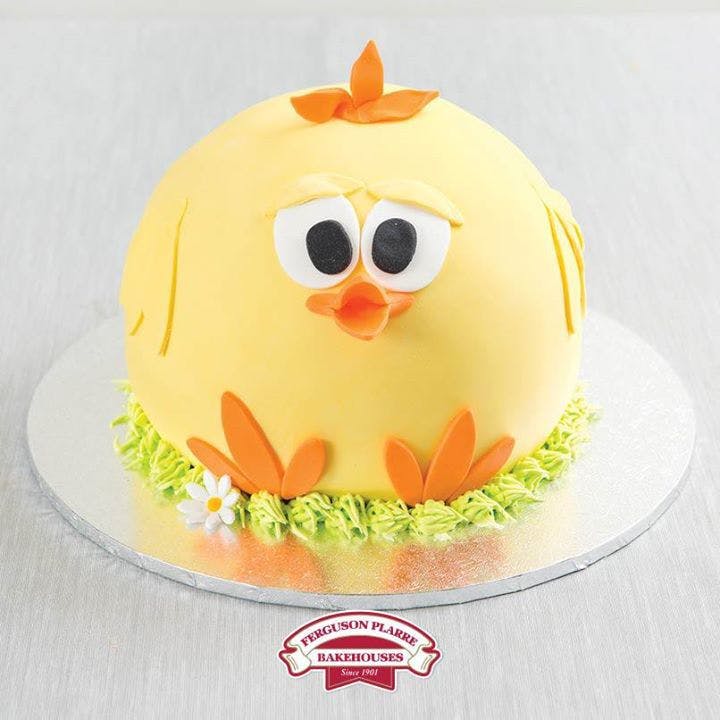 Rowville VIC Foster Accommodation