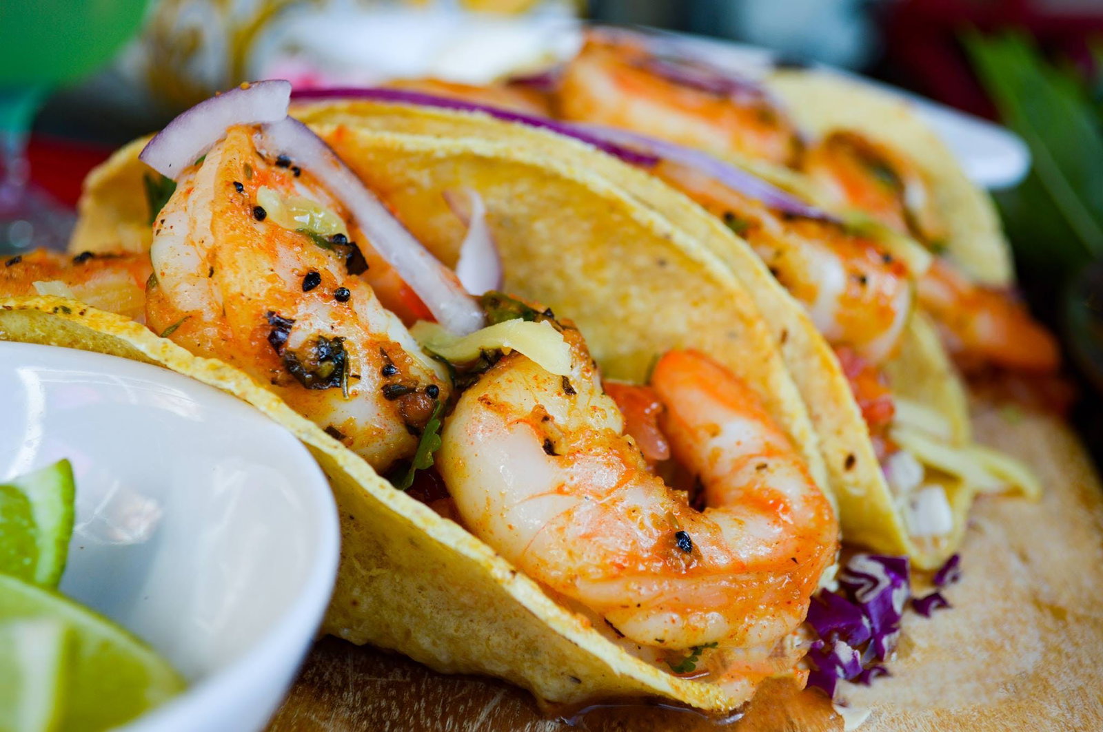 Bells Creek QLD Foster Accommodation