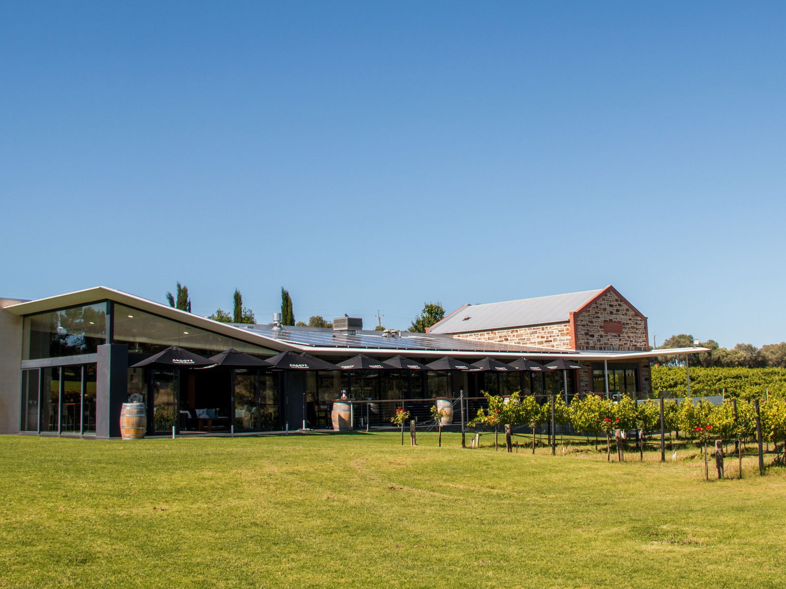  Foster Accommodation