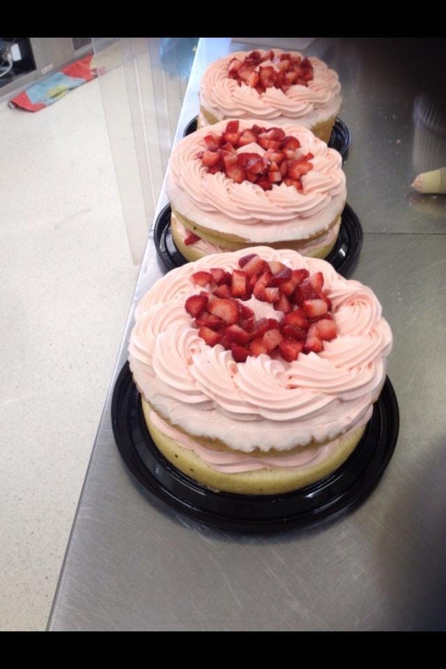 Bribie Island QLD Foster Accommodation