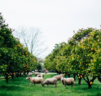 Cambray Cheese Farm Shop