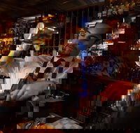 Molly - Foster Accommodation