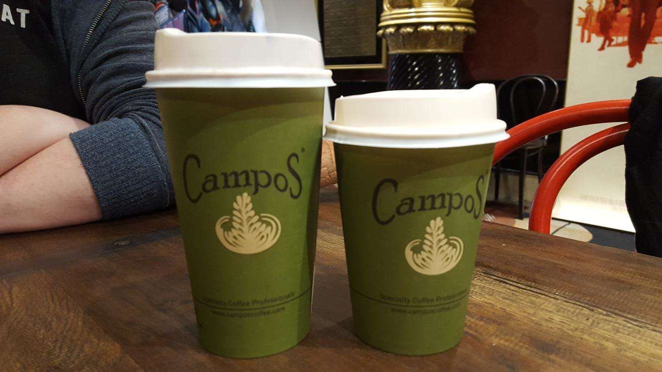 Bulimba QLD Foster Accommodation