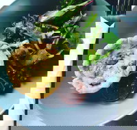 Park Bench Espresso Bar - Foster Accommodation