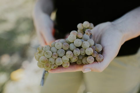 Rowlee Vine To Table Experience - Foster Accommodation 1