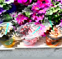 Starbucks - Mascot - Foster Accommodation