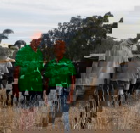 Milawa Organic Beef - Foster Accommodation