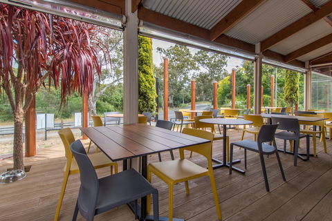 The Duck - Foster Accommodation 1