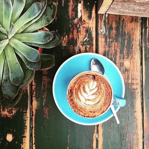 Charlotte's Little Sister - Eveleigh - Foster Accommodation 0