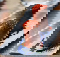 MoVida  The Airport - Mascot - Foster Accommodation