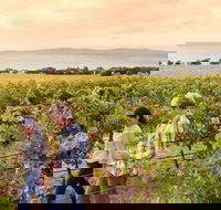 Boston Bay Wines - Foster Accommodation