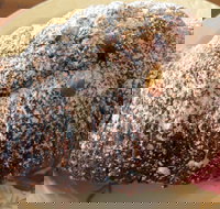 The Broken Drum - Foster Accommodation