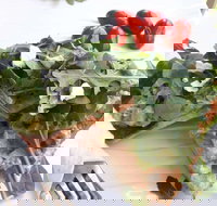 The Garden Tearooms  Cottage Nursery - Foster Accommodation