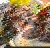 Kofte Co. - Foster Accommodation