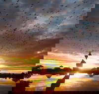 Old Lodge Gallery Emporium and River Cafe - Foster Accommodation