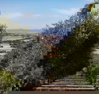 Wollundry Grove Olives - Foster Accommodation