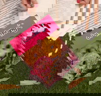 Donut King - Chermside - Foster Accommodation