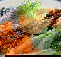 Flying Swallow - Foster Accommodation