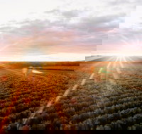 Rich Glen Olive Farm - Foster Accommodation