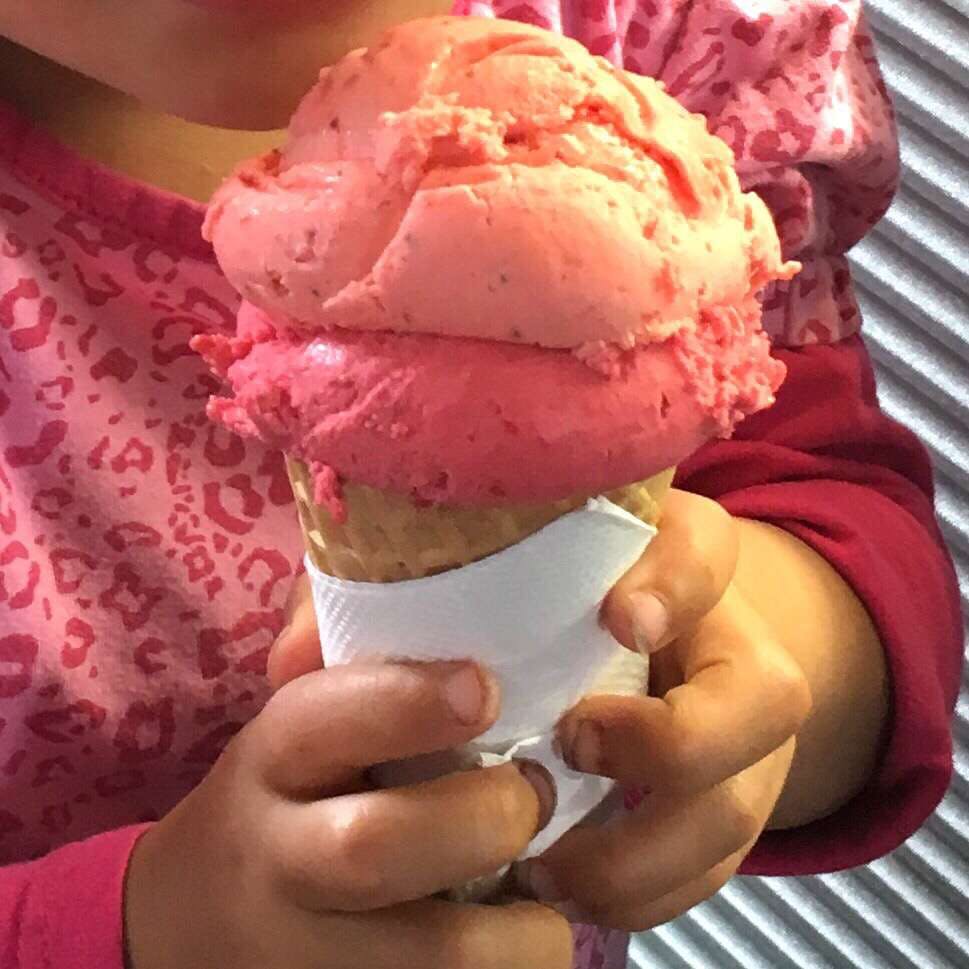 Bellingen NSW Foster Accommodation