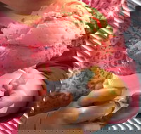 Bellingen Gelato Bar - Foster Accommodation