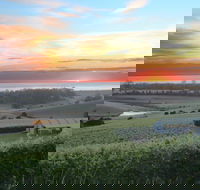 Cape Bernier Vineyard - Foster Accommodation