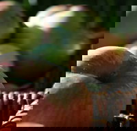 Denmark Heritage Cider Company - Foster Accommodation