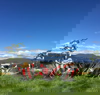 Red Feet Wines - Foster Accommodation