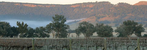 Wilksch Estate Wines - Foster Accommodation 0