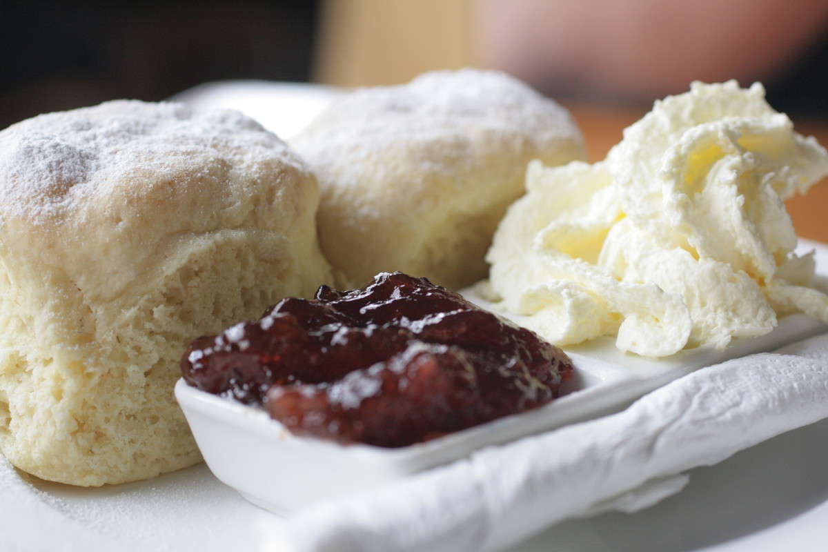 Blackmans Point NSW Foster Accommodation