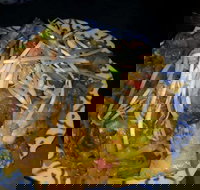 Blue Orchid Thai - Foster Accommodation